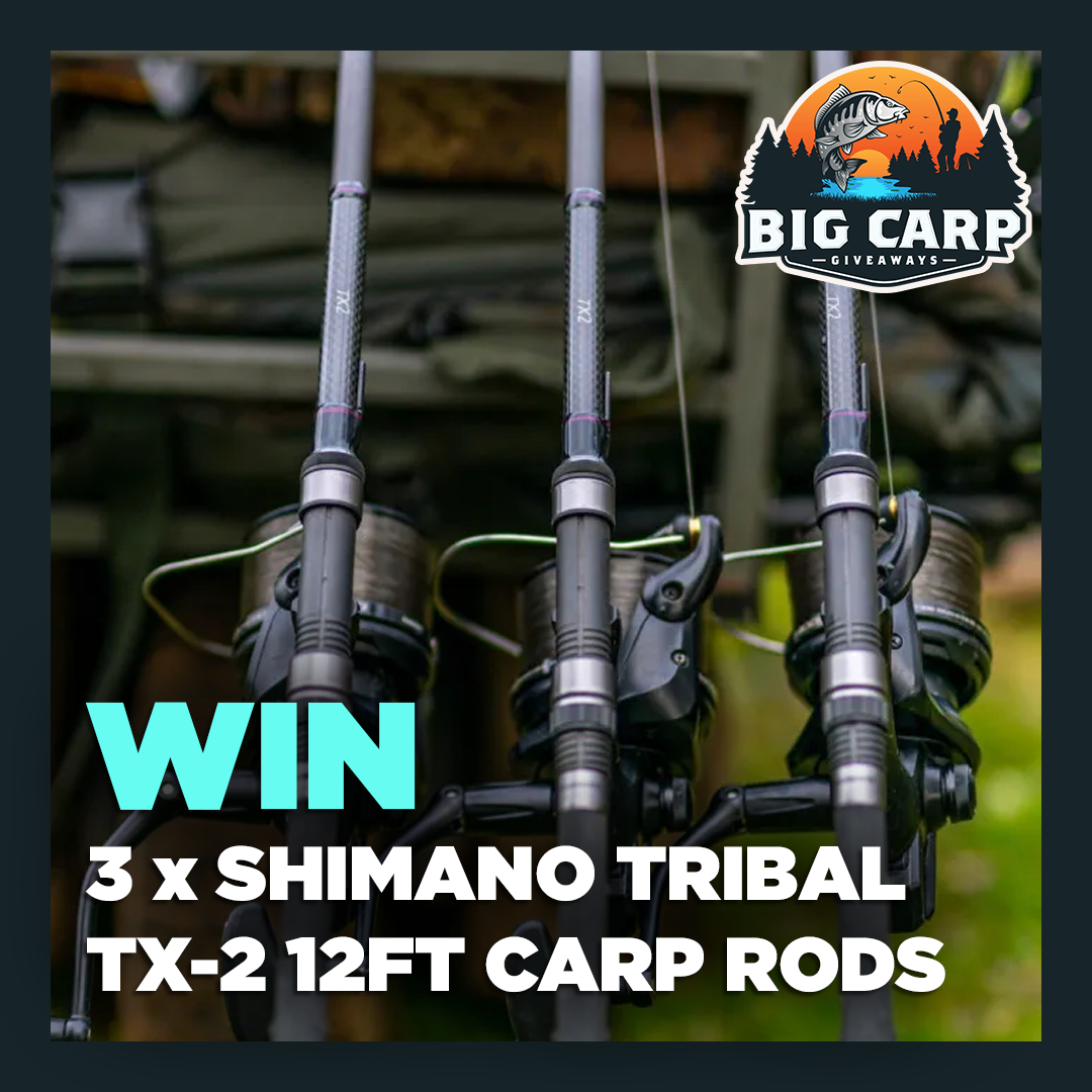 3 x Shimano Tribal TX-2 12ft Carp Rods – Big Carp Giveaways