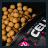 Instant Win 5kg Boilies of Your Choice!