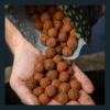 Instant Win 5kg Boilies of Your Choice!