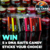 Win DNA Baits Candy Sticks